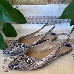 NEW Madden Girl Women’s Snake Print Pointed Toe Slingback Flats Size 8.5
